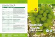 Basfoliar - compo-expert.com · Como Basfoliar® Size SL contiene 350 veces más auxinas que citoquininas, su efecto secundario en aplicaciones foliares es la formación de nuevas