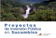 Proyectos de Inversión Pública en Sucumbíos · Mejoramos la calidad de vida de la población Proyecto 13. Vía de Salida de Nueva Loja Ubicación Cantón: Lago Agrio Inversión