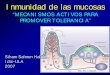 Inmunidad de las mucosas - medic.ula.ve · Inmunidad de las mucosas “MECANISMOS ACTIVOS PARA PROMOVER TOLERANCIA” Siham Salmen Halabi Idic-ULA 2007 Siham Salmen …