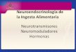Neuroendocrinología de la Ingesta Alimentaria€¦ · objetivos de los neurotransmisores unidos a los factores ambientales y genéticos que contribuyen a la obesidad. N H H H H H