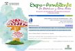 Presentación de PowerPoint - colmayor.edu.co€¦ · tratamientos de Fitotripen y F. oxysporum a los 30 días de germinación. 15 Fig. 5 : Crecimiento de las plantas de frijol 