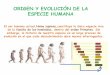 ORIGEN Y EVOLUCIÓN DE LA ESPECIE HUMANA - …biogeods.hol.es/javier/cc1/doc/evolucionhumana/evoluciondelaespecie... · favorecen la postura erguida y la marcha bípeda en los seres