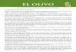 El Olivo - oleocultura.comoleocultura.com/PDF/El Olivo.pdf · I.-BREVE INTRODUCCIÓN HISTÓRICA Existen dos hipótesis sobre el origen del olivo, una que postula que proviene de las