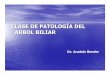 CLASE DE PATOLOG ÍA DEL ARBOL BILIAR - …blogs.eco.unc.edu.ar/cirugia/files/2011/09/Patología-biliar... · clase de patolog Ía del arbol biliar dr. anatole bender. discinesia