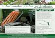 Informaciones Agronómicas - International Plant …ipni.net/publication/ia-lacs.nsf/0/7E61FD091C59D6B403257ECE004E96… · espinaca (Spinacia oleracea L.) cultivada en El Llano en
