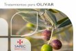 Tratamientos para OLIVAR - SAPEC AGRO · para controlar el repilo y la tuberculosis en ... complementaria que atacan y controlan mejor la ... insolubilidad en agua evita que sea arrastrado