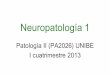 Neuropatología 1 - … · anencefalia, microcefalia, hidrocefalia, mielomeningocele y encefalocele. •Trauma craneoencefálico y espinal. •Encefalopatía isquémica e infarto