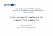 Taller de Capacitación SWITCH - Costa Rica Selección de ... · Sobre la evaluación de proyectos • La evaluación financiera -económica y social de proyectos hace parte de una