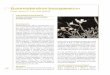 Euzomodendr Euzomodendron bouron … · mm, patente, de color crema con nerviación violácea muy manifiesta. Estambres medianos (interiores) con filamentos concrescentes por pares