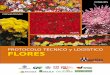 CONTENIDO - asohofrucol.com.co · Protocolo para despacho de crisantemo ... Esquema No1 Metodología del proyecto merlin Flujograma de Exportación de ... para el manejo del producto