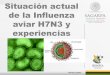 Situación actual de la Influenza aviar H7N3 y …sistemaproductoaves.org.mx/.../INFLUENZA_AVIAR_JURIQUILLA.pdf · El último brote de influenza aviar altamente patógena de serotipo