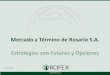 Mercado a Término de Rosario S.A. Estrategias con … - ROFEX Opciones - Estrategias con... · Conclusión • Una opción es un contrato que otorga a su propietario el derecho a