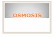 OSMOSIS - Biblioteca Central de la Universidad …biblioteca.uns.edu.pe/saladocentes/archivoz/curzoz/microsoft... · Considere la posibilidad de 2 soluciones salinas, (uno diluida