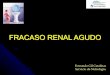 FRACASO RENAL AGUDO - Escuela de Pacientes - … · Eje renina-angiotensina-aldosterona ... flujo constante independiente de la presión y del volumen circulante. Reflejo miogénico