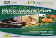 ASISTENCIA TÉCNICA DIRIGIDA EN ANÁLISIS DE … · 3 asistencia tÉcnica dirigida en anÁlisis de suelos, fertilizaciÓn y manejo integrado de plagas y enfermedades en cÍtricos