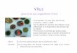 CLASE 15 Virus sin imágenes pesadas - [DePa] Departamento de …depa.fquim.unam.mx/amyd/archivero/15_Virus_27432.pdf · Reproducción de los virus La única función que poseen los
