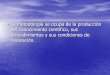 Postgrado en Metodología de la Investigaciónsaludcolectiva-unr.com.ar/docs/SC-055.pdf · supuestos teóricos y explicitar los supuestos del ... •Supuestos Básicos Subyacentes