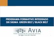 PROGRAMA FORMATIVO INTEGRADO SIX SIGMA …avia.com.es/wp-content/uploads/2016/03/2016_02_SIX-SIGMA-GREEN... · •Proporcionar a los candidatos aptitudes y conocimientos para liderar