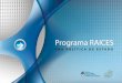 Programa RAICES - Red de Argentinos Investigadores … Raices 2011.pdf · 16 “Me había contactado con la gente del programa RAICES y presenté la demanda de ayuda económica, ya