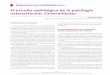 El estudio radiológico de la patología osteoarticular ...archivos.fapap.es/files/639-844-RUTA/07_FAPAP_03_2012.pdf · ©AEPap 2012 • Copia para uso personal, se prohíbe la reproducción