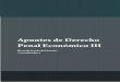 FICHA TÉCNICA - ICED - Instituto de Consolidación …€¦ · PRESENTACIÓN Este volumen de “Apuntes de Derecho Penal Económico” representa el último capítulo de una trilogía