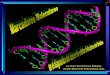 Presentación de PowerPoint - sld.cu · el estudio de eventos epigenéticos que tienen lugar en el desarrollo temprano de la carcinogénesis ( Metilación del ADN)
