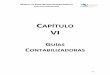CAPÍTULO VI - transparencia.info.jalisco.gob.mxtransparencia.info.jalisco.gob.mx/sites/default/files/MANUAL... · manual de contabilidad gubernamental guÍa contabilizadora vi-4