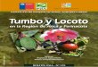 INIA Ururi, 2016biblioteca.inia.cl/medios/biblioteca/boletines/NR40488.pdf · propiedades de interés comercial a los frutos; de la homogeneidad de los cultivares en uso; ... también