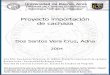 Proyecto importación de cachaza - Económicas Digital ...bibliotecadigital.econ.uba.ar/download/tpos/1502-0383_CruzADSV.pdf · Antes de citar ventajas competitivas. es ... estructura