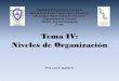 Niveles de Organización Biológica Ibiologiastv.weebly.com/uploads/4/0/1/0/40103559/tema_iv_niveles_de... · Niveles de Organización ... Indica en qué nivel de organización de
