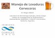 Manejo de Levaduras Cerveceras - somoscerveceros.com · Laboratorio de Microbiologia Aplicada y Biotecnología Instituto de Investigaciones en Biodiversidad y Medioambiente (INIBIOMA),