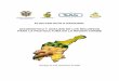 PFN REGION CARIBE - asohofrucol.com.co · plan fruticola nacional de colombia –region caribe 2 plan fruticola nacional diagnÓstico y anÁlisis de los recursos para la fruticultura