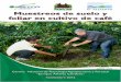 Muestreos de suelo y foliar en cultivo de café - … MUESTREO DE... · Muestreos de suelo y ... Introducción La toma de muestras de suelo es una práctica muy valiosa que se efectúa