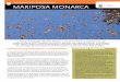 08 reserva de la biosfera 18 mariposa monarca - … · Contexto soCioCultural y eConómiCo La Reserva de la Biosfera (RB) Mariposa Monarca abarca 56,259 hectáreas de bosques de pino,