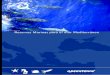 © Greenpeace/Mortimer Reservas Marinas para el mar ...archivo-es.greenpeace.org/espana/Global/espana/report/other/... · El engorde de atún rojo: una receta para el desastre 17
