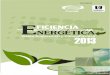 FICIENCIA NERGÉTICA - uao.edu.co · Su misión es promover la oferta y el uso de la energía en forma sustentable para beneficio de la humanidad. ... EPSA, Dr Oscar Iván Zuluaga