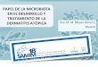 Presentación de PowerPoint - samem.es · Probiotics and primary prevention of atopic dermatitis: a meta-analysis of randomized controlled studies. Journal of the European Academy