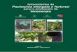 Antecedentes de Paulownia elongata x fortunei - udec.clfmunoz/Libro_Paulownia.pdf · ces de producir semillas viables (Silvestre et al., 2005), los cuales se adaptan a gran variedad