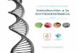Introducción a la NUTRIGENÓMICA - senpe.comsenpe.com/documentacion/29-curso-de-especializacion-introduccion-… · fluencia de nutrientes específicos sobre ellos • El concepto