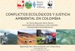 CONFLICTOS ECOLÓGICOS Y JUSTICIA AMBIENTAL EN COLOMBIAnLvZHwEOQ3QDFIrW... · Distribución de las concesiones del agua en Colombia Assessing equity and sustainability of water allocation
