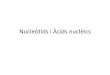 Nucleòtids i Àcids nuclèics · Nucleòtids interés biològic: intermediaris en reaccions químiques 1. Adenosín fosfats en reaccions on es desprèn o es consumeix energia