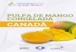 CNPE/Fichas producto... · El mango maduro también se utiliza para hacer: trozos en almíbar, mango deshidratado, ... de jugosy néctares, pero también y de manera creciente para