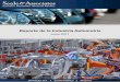 Reporte de la Industria Automotriz - M&A Méxicomnamexico.com/wp-content/uploads/2017/01/Industria-Automotriz... · automotrices, piezas de plástico, partes de sistemas eléctricos