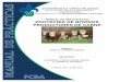 31 Manual de prácticas de zootecnia de bovinos … · Cuestionario Bibliografía 15 17 17 17 ... practica Nombre de la Práctica ... veterinarias y centros de acopio de alimentos