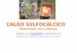 CALDO SULFOCÁLCICO · CALDO SULFOCÁLCICO Elaboración, Uso y Manejo.-MÓDULO CALDOS MINERALES-Material elaborado por el ing. Alfonso Jiménez