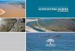 Localización de zonas idóneas para el desarrollo de la ... · Localización de Zonas Idóneas para el Desarrollo de la Acuicultura Marina en Andalucía. - Sevilla: ... Algunos de