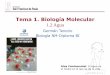 Tema 1. Biología Molecular - dpbiologia.weebly.comdpbiologia.weebly.com/uploads/2/1/5/5/...nm__2ª_parte_agua__2017-1… · Estructura molecular del agua El agua es una molécula