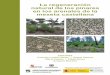 Página 1 La regeneración natural de los pinares en los ...sostenible.palencia.uva.es/system/files/publicaciones/La... · La investigación en regeneración natural de las masas