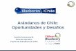 Arándanos de Chile: Oportunidades y Desafíos · Comite de Arándanos de Chile ... - Optimizar el manejo del frío e innovar manejos de poscosecha Desafíos. Posicionar al Arándano