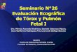 Seminario N°26 Evaluación Ecográfica de Tórax y … · pulmonar derecha; Polihidroamnios, ascitis, hidrops •Tratamiento: corticoides antenatales, toracocentesis, aspiración